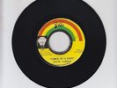 ITAL/ CHILD OF KING  -  DAVID JAHSON  (74 REGGAE ROOTS 7