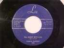 CURTIS HOBECK (**VERY RARE 59' TENN ROCKABILLY) TOM DOOLEY ROCK & ROLL   LU 508
