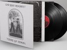 CAR SEAT HEADREST -Teens Of Denial- Gatefold 2 x LP 2016 Matador Records SEALED