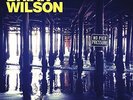 Brian Wilson - No Pier Pressure - LIMITED EDITION - 2 VINYL - NEU&OVP