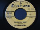 Joy Harmonizers   My Heavenly Home / Early   RARE Fortune black gospel 45 HEAR