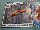 THE STONE ROSES WHAT THE WORLD IS WAITING FOR LIMITED EDITION 12