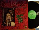 Hound Dog Taylor Beware of the Dog Alligator AL 4707 NM