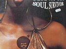 Pete Rock - Soul Survivor Vinyl 2LP DA0153064