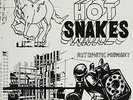 Hot Snakes - Automatic Midnight Vinyl LP Swami NEW