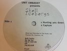 Skell Icebergs: Hunting You Down SEALED 12