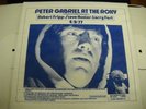 PETER GABRIEL AT THE ROXY