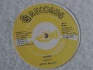 Errol Bellot - Gimme Reggae 12