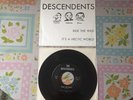 The Descendents Ride The Wild It's A Hectic World 7
