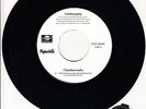 CHUMBAWAMBA  Tubthumping 7