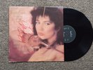 KATE BUSH 12