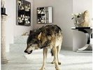 Grinderman 2 - GRINDERMAN [2x LP]
