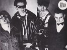 The Damned - New Rose
