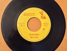 THE LITTER / Action Woman / Legal Matter THIS IS IT  The GRAIL of GARAGE & PSY