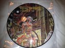 Iron Maiden Somewhere in time picture disc Excellent+ condition