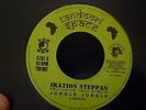 Iration Steppas feat Tena Stelin - Jungle Jungle - Tandoori Space -7