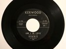 Ronnie+The Parleys: Am I In Love | Rare Northern Soul VG+ *HEAR*