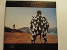 Pink floyd lp Delicate Sound Thunder  33 giri LP DOPPIO