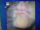 P J Harvey Dry Vinyl LP