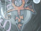 prince special collectors picture disc