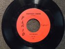 THE VELVETS Everybody Knows PLAID M- hear soundclip