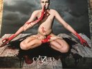 Obzen [LP] by Meshuggah  RARE (Red Vinyl)-2008, 2 Discs, Nuclear Blast