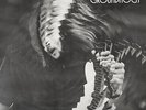 GROUNDHOGS - Split (LP) (EX-VG+)