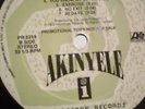 AKINYELE-VAGINA DINER- RANDOM RAP LP RARE