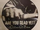 Vinyl | COB Children Of Bodom | Are You Dead Yet? | Limited Edition 2000 Stück |