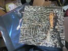 Siouxsie & The Banshees Juju + Inner POLS1034  The Scream POLD 5009 + Inner