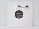 EVANESCENCE Unreleased Recordings LP Vinyl Rare Tracks & Demos RARE korn tool