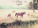 Bill Callahan-Sometimes I Wish We Were An Eagle  (US IMPORT)  VINYL NEW