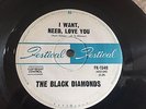 THE BLACK DIAMONDS I want,need,love you/see the way 45 FESTIVAL Garage OZ Punk