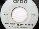 RAY MURRAY & DYNAMICS doowop rockabilly 45 Baby What Do You Want Me To Do mg1275