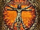IN FLAMES - Clayman Picture LP (First Pressing)