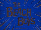 BEACH BOYS, Good Vibrations, Heroes & Villians, Capitol Record Store Day 78rpm