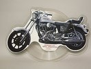 Bruce Springsteen- Interview with Bruce Springsteen-Picture Disc LP -PL 61- S3