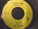 The Vaqueros-Desert Wind/Echo 45 Rare '64 Garage Rochester NY surf Audition 6102