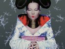 Homogenic von Björk (2016) LP Vinyl (180g) + Download Neuware