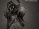 The Congregation, Leprous, Vinyl, 5052205071311