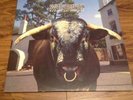 Swervedriver Mezcal Head Vinyl Album Creation Records CRELP 143