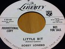 Bobby Lonero – The Girl That I Marry / Little Bit – Liberty F-55180 – Promo (NM)