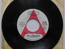 The YARDBIRDS Ten Little Indians' / Drinking Muddy Water US promo  LED ZEPPELIN