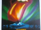 the Rolling Stones poster lithograph 2014 oslo  europe 14 on fire tour -