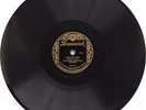 78 RPM BRUNSWICK 3589 FESS WILLIAMS ROYAL FLUSH ALLIGATOR CRAWL OZARK BLUES '27?