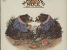 Matching Mole - 1st Matching Mole UK vinyl LP album record 64850 CBS 1972