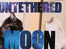 BUILT TO SPILL-UNTETHERED MOON LP & CD  VINYL NEW