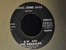 HEAR MP3 RARE DOO WOP ROCK B.W. And The Emeralds LINK WRAY LABEL Rumble 1248