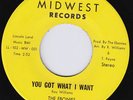 EBONIES You Got What I Want RARE *M-* northern soul 45 crossover SUPERB  HEAR