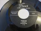 TEEN ROCKABILLY 45 GEORGETTES GEORGE MOTOLA RICKIE PAGE EDDIE COCHRAN on FLEET